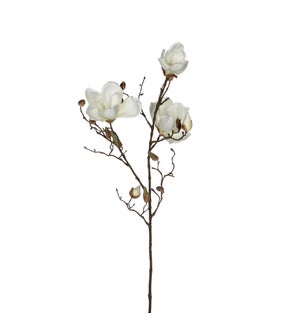 Magnolia white - 34.75"