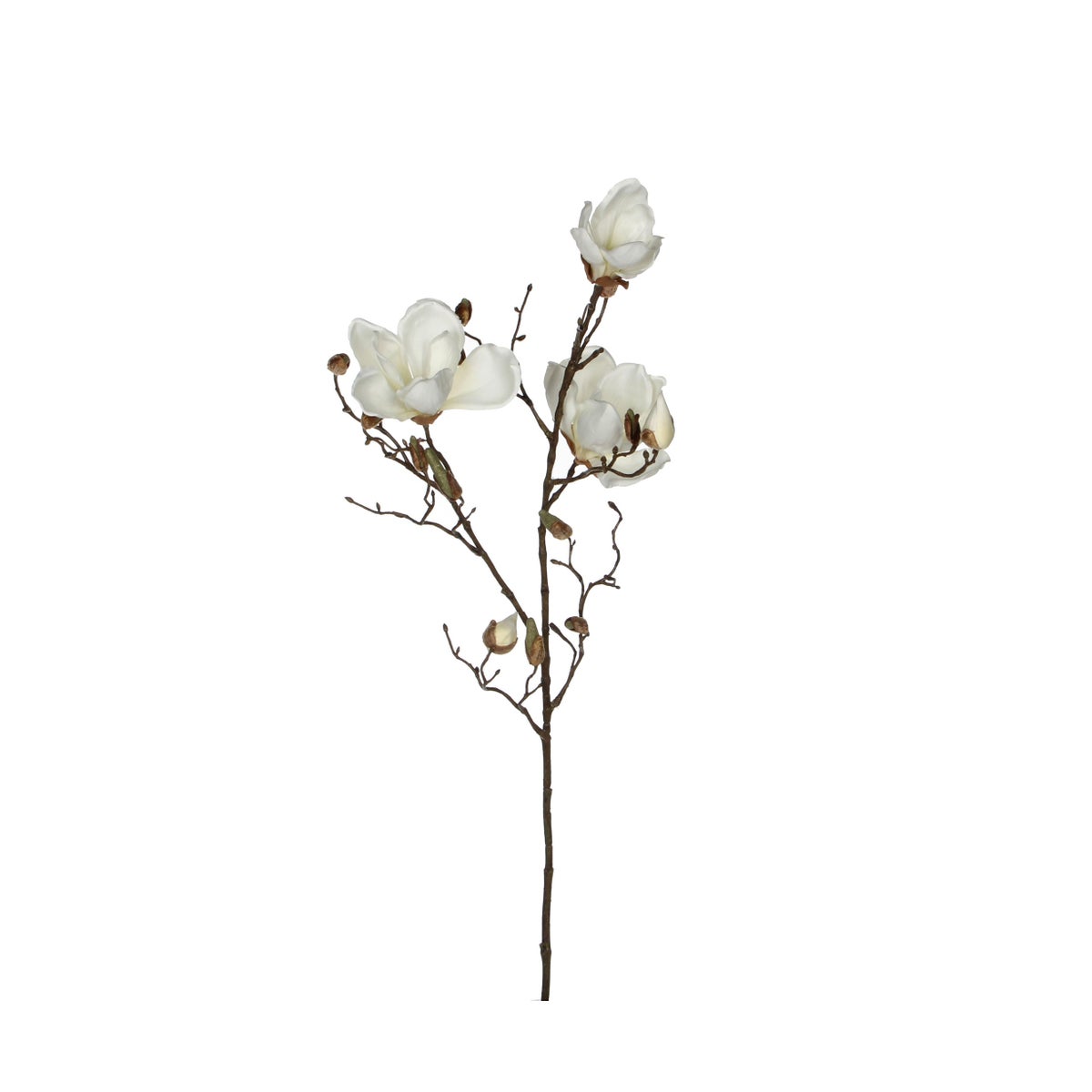 Magnolia white - 34.75"