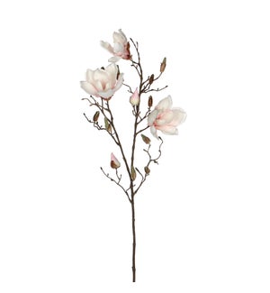 Magnolia l. pink - 34.75"