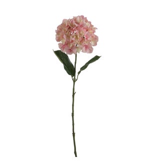 Hydrangea pink  - 30.25"