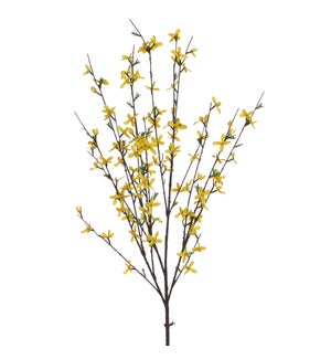Forsythia yellow - 40.25x15.75"