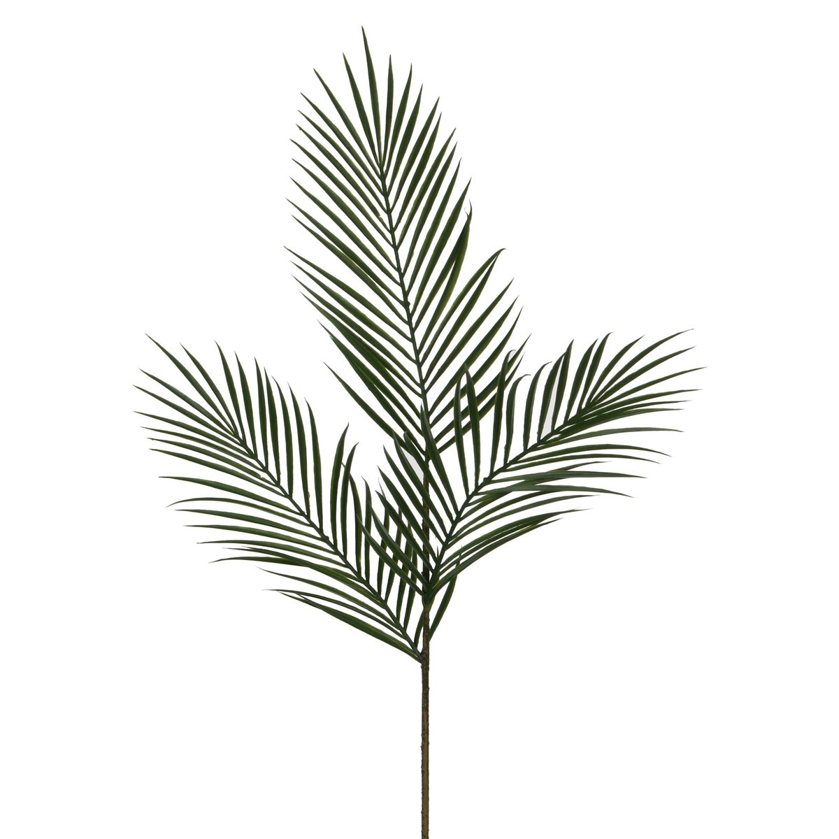Areca palm green - 39"
