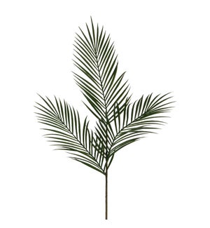 Areca palm green - 39"
