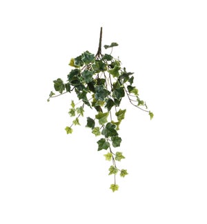 Ivy hanging green variegated - 20x5x5"
