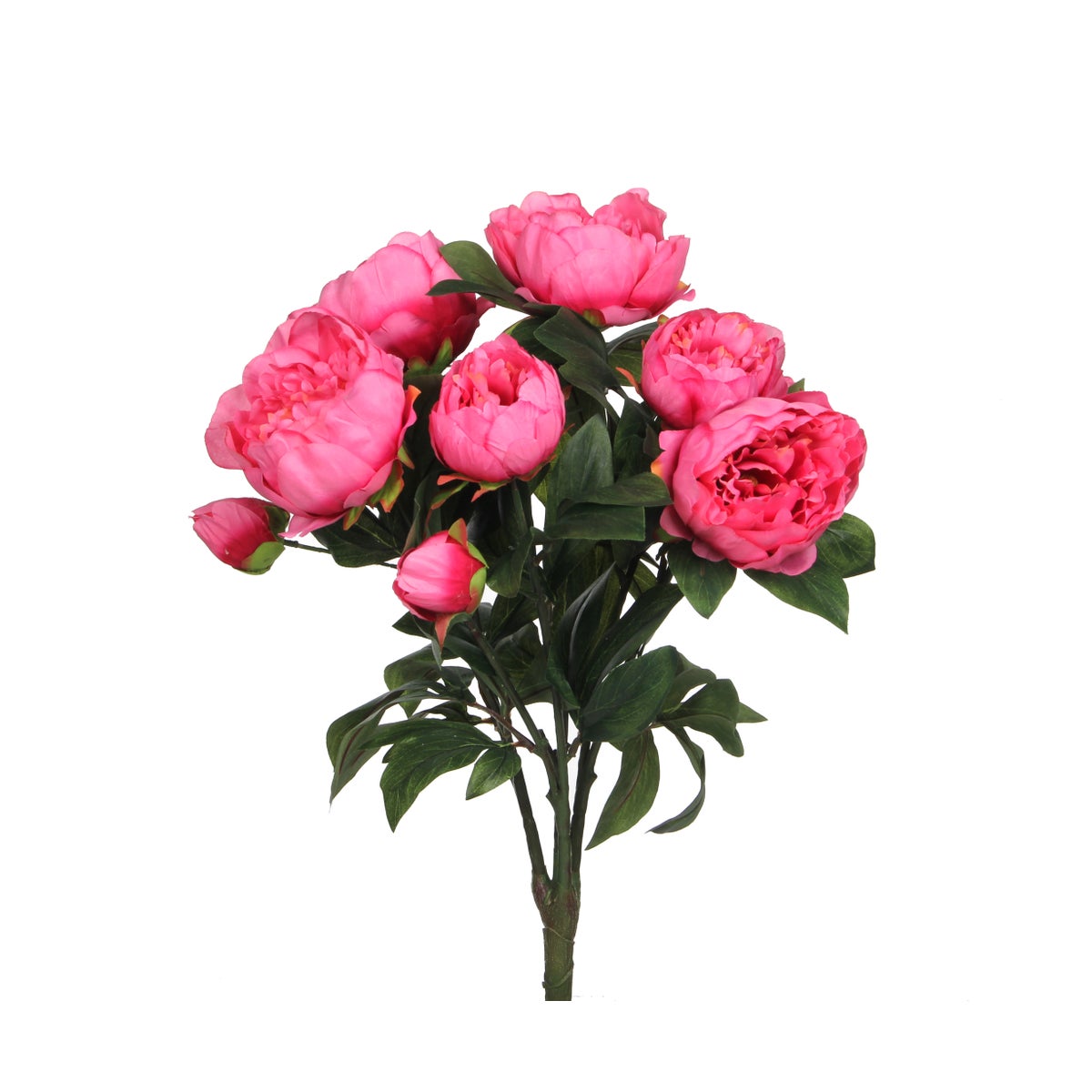 Peony bouquet d. pink - 21.75x15.75"