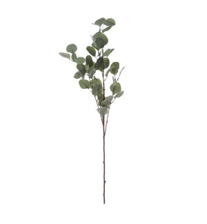 Eucalyptus green - 36.75"