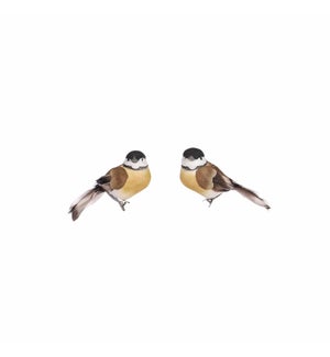 Clip bird brown 2 pieces - 3.75x1.5x2"