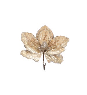 Clip magnolia champagne - 7x1.5"