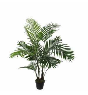 Areca palm in pot green - 23.75x47.25"