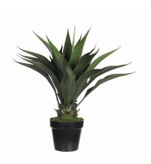 Agave in pot green - 9.75x23.75"