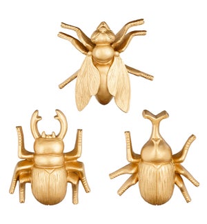 Insect gold 3 assorted - 6x2.25x5.5"