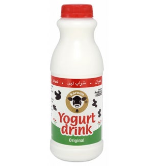 Karoun Yogurt Drink 24/1Pt