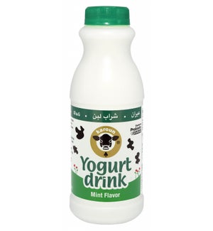 Karoun Yogurt Drink 24/1 pt MINT