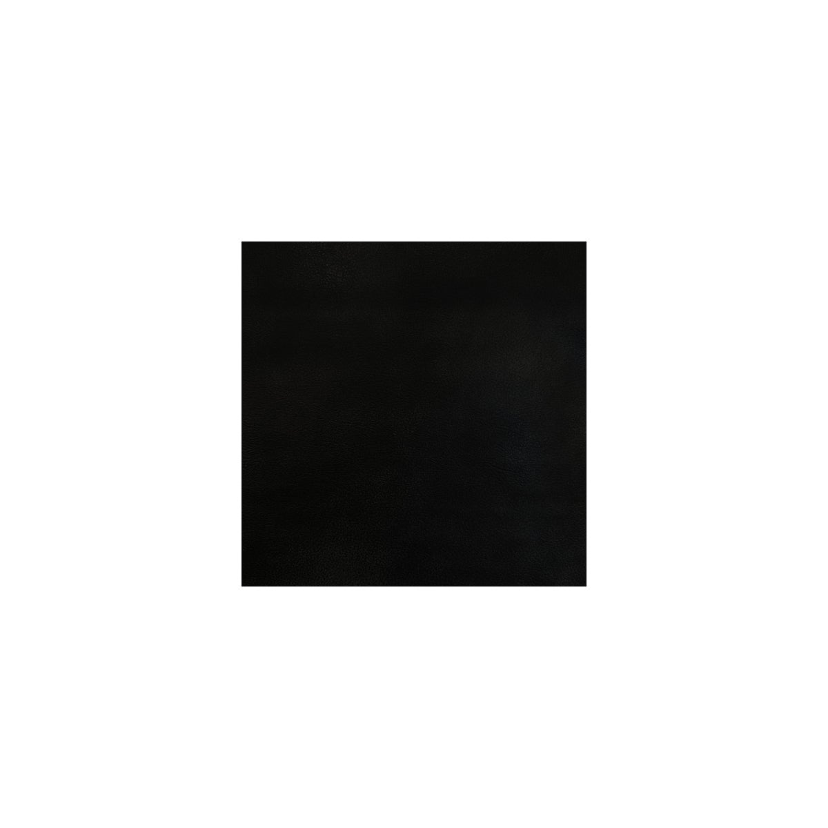 Belmont Black