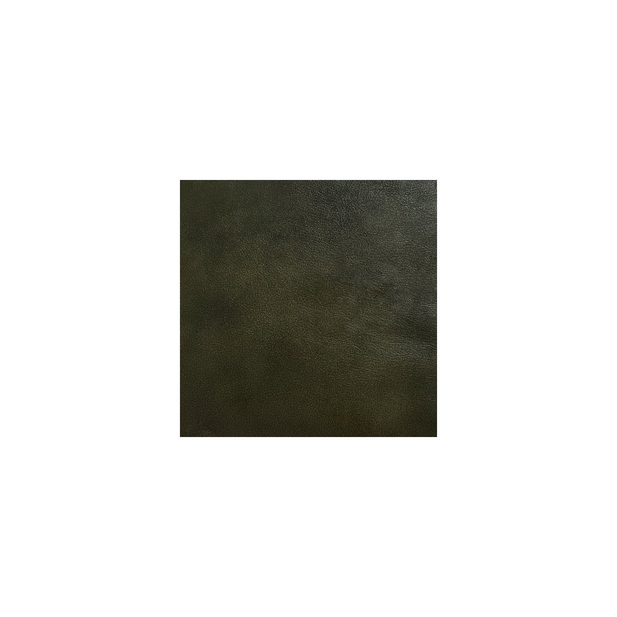 Belmont Khaki