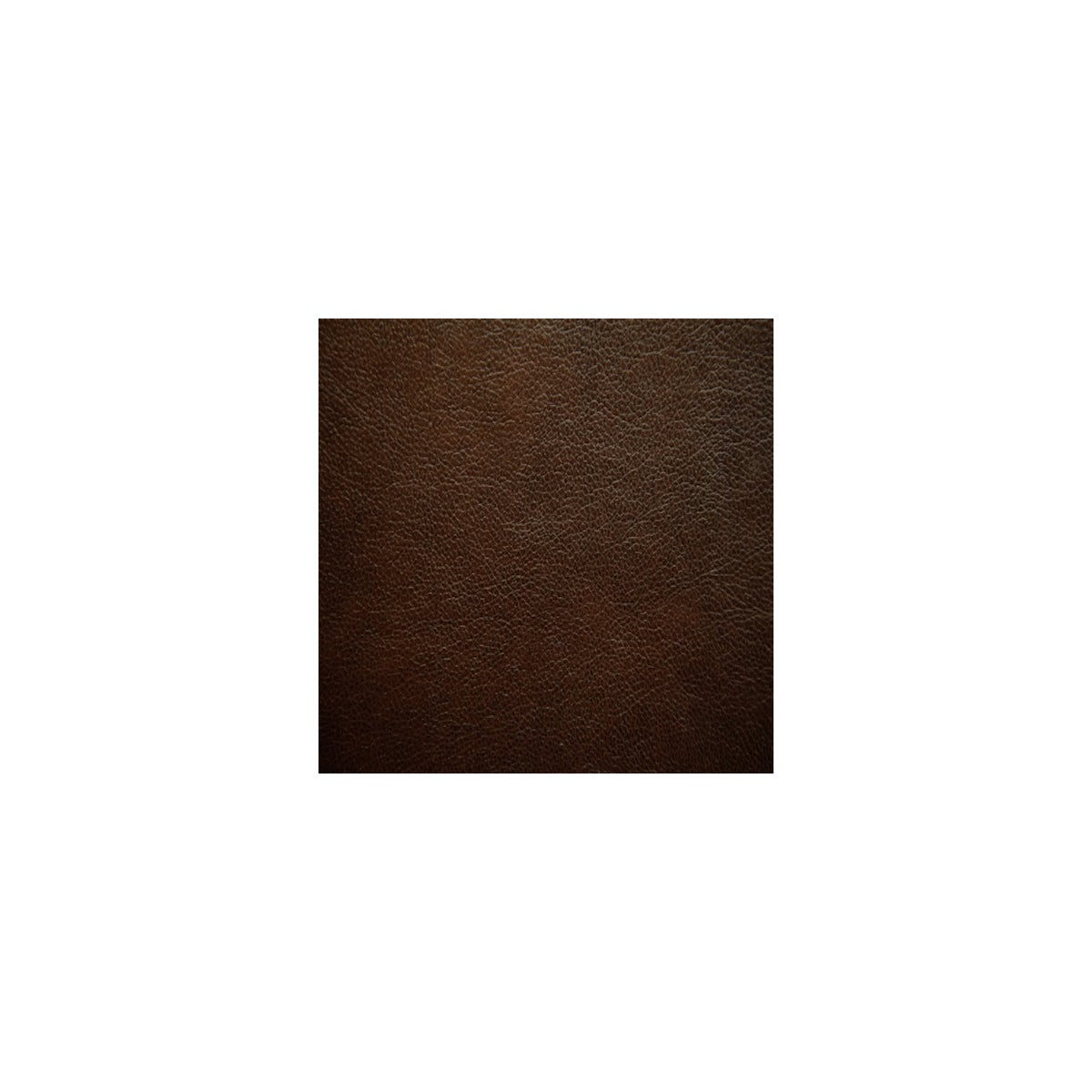 Cantina Cocoa