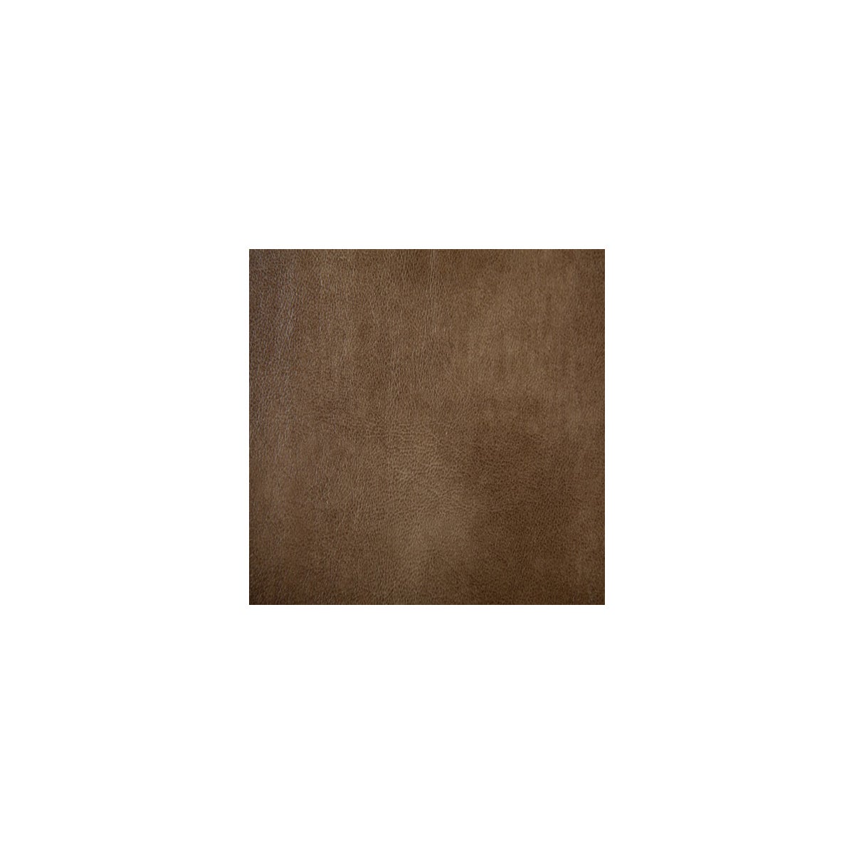 Cantina Molasses