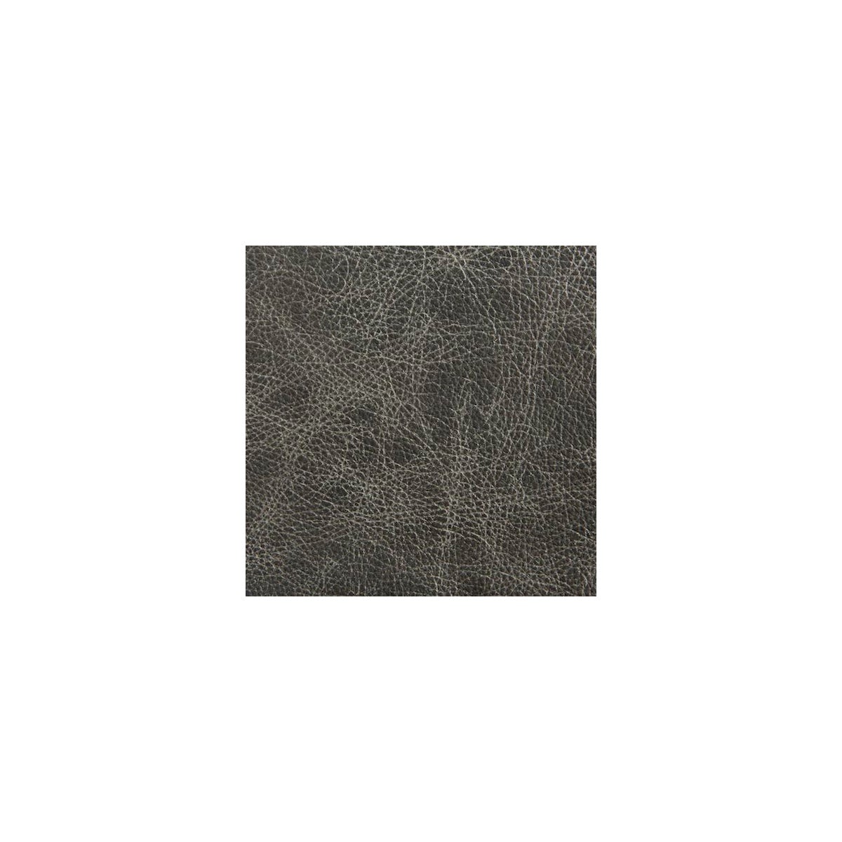Fargo Gray