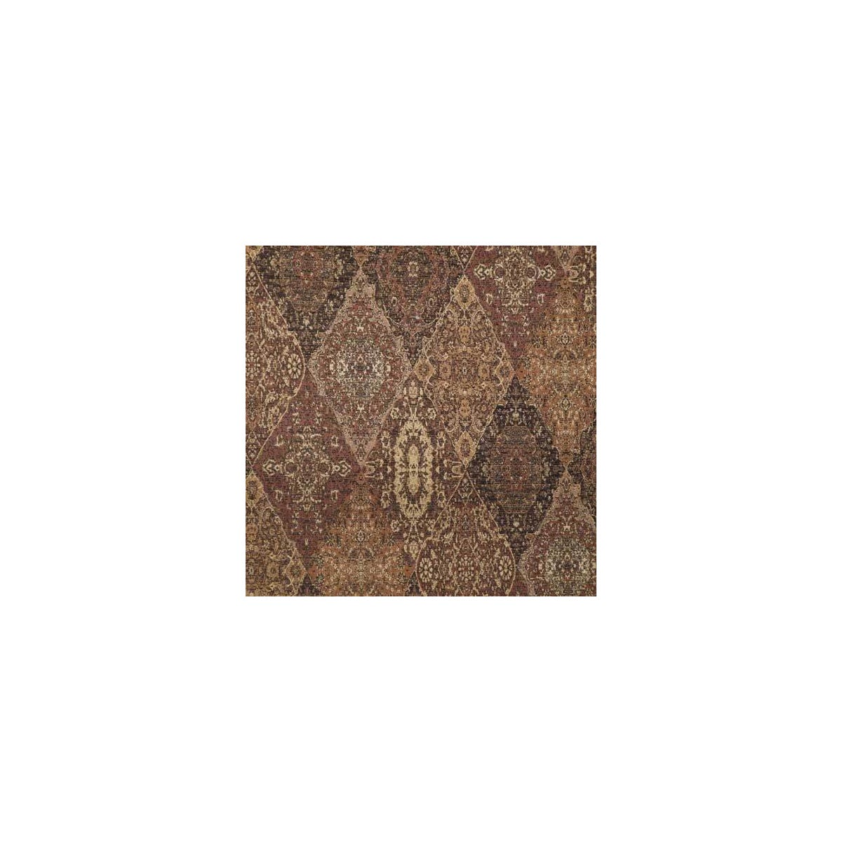Tabriz Vicuna