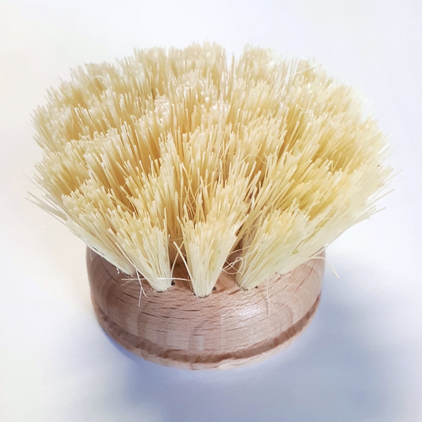 Dish Brush Replacement Head — harvest culture