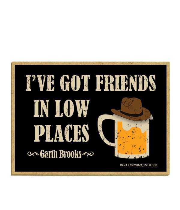 I've got friends in low places magnet