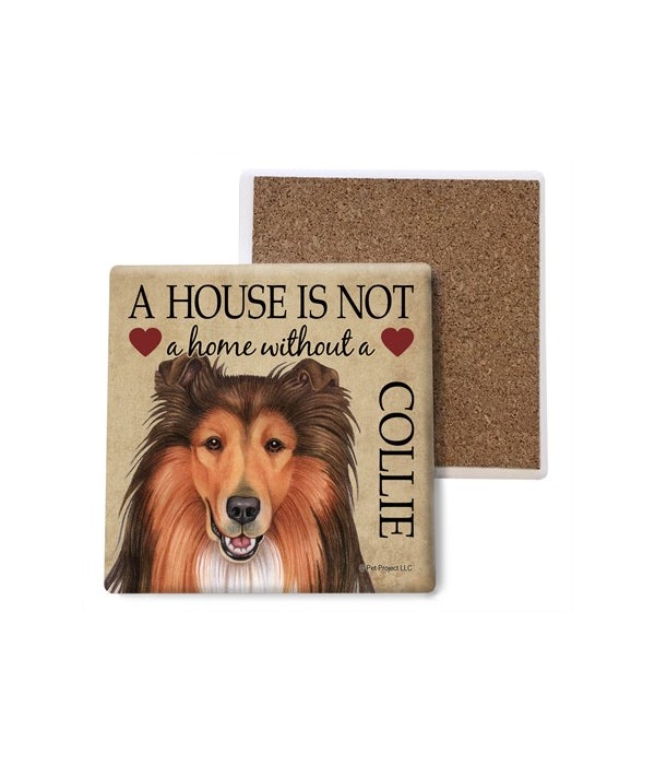 A house is Not a home without a Collie c