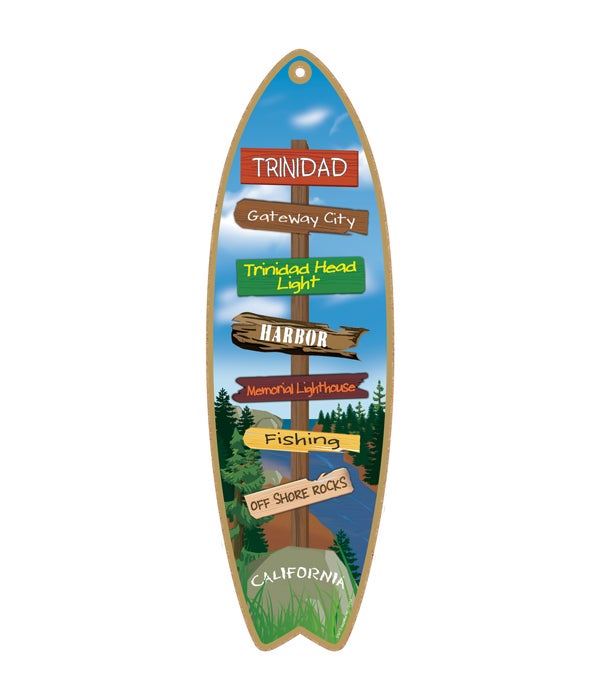 Destination River Surfboard