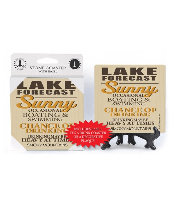 Lake forecast-1 pack stone coaster