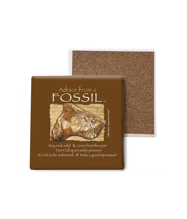 Advice from a Fossil Stone Coasters