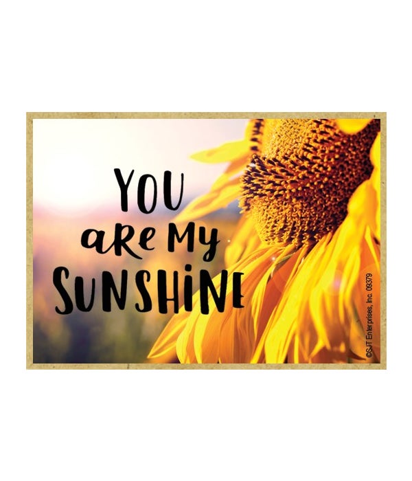 You are my sunshine-Wooden Magnet