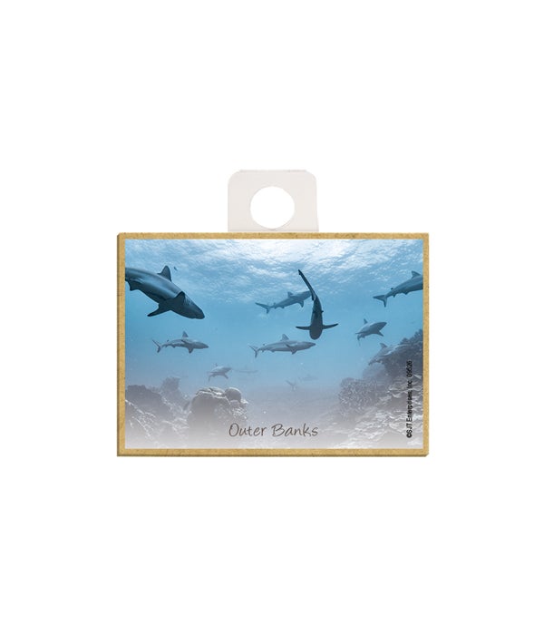 sharks swimming  2.5 x 3.5 wooden magnet