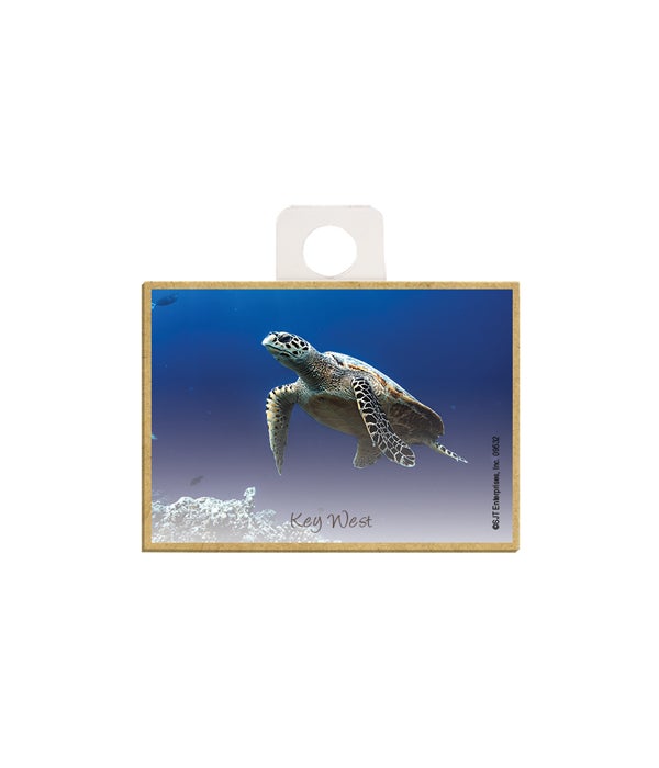 sea turtle swimming to the left, still water  2.5 x 3.5 wooden magnet