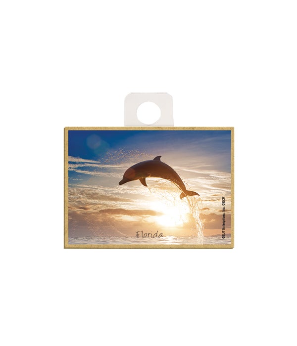 dolphin jumping to the left high out of the water  2.5 x 3.5 wooden magnet