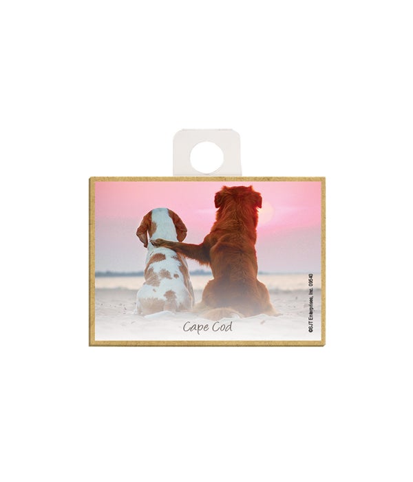 dog with leg on another dogs back on the beach  2.5 x 3.5 wooden magnet