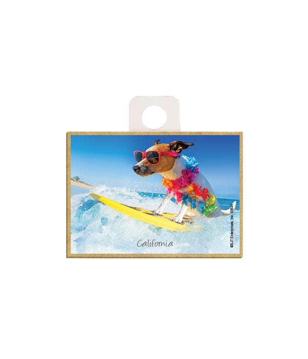 dog with sunglasses on surfboard  2.5 x 3.5 wooden magnet