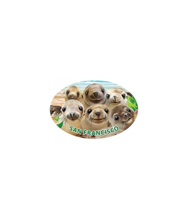 Sea lions - Michael Searle oval magnet (