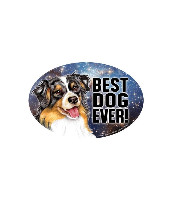 Aussie (Best Dog Ever!) 6" Oval Magnet