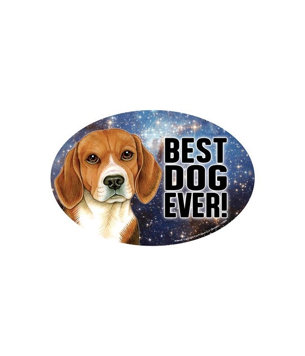 Beagle (Best Dog Ever!) 6" Oval Magnet