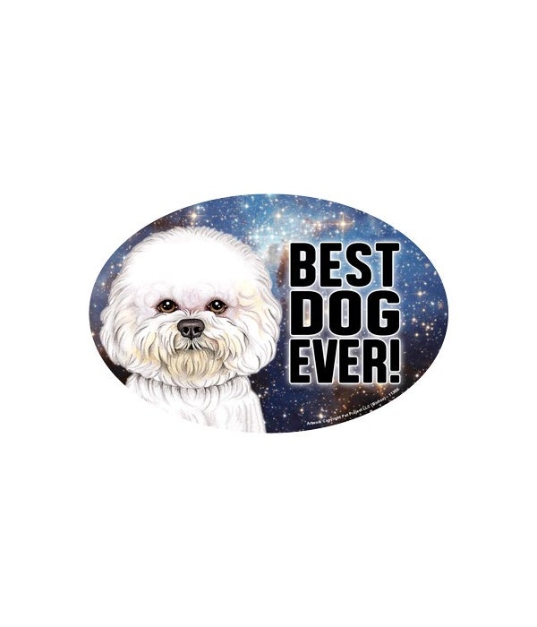 Bichon (Best Dog Ever!) 6" Oval Magnet