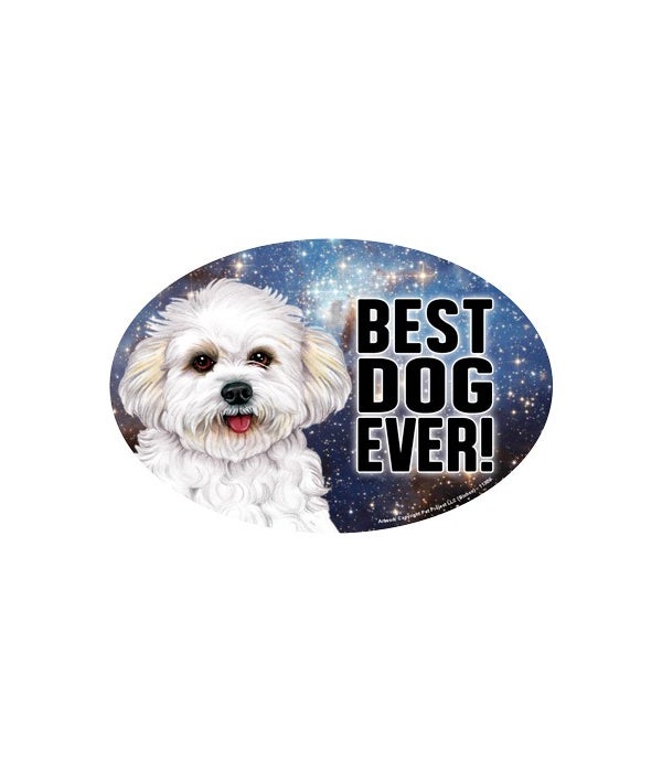 Bichon (puppy cut) (Best Dog Ever!) 6" O