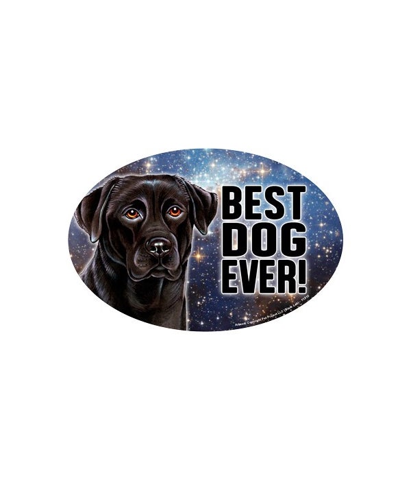 Black Lab (Best Dog Ever!) 6" Oval Magne