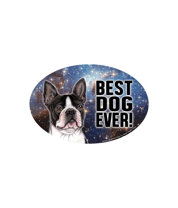 Boston Terrier (Best Dog Ever!) 6" Oval