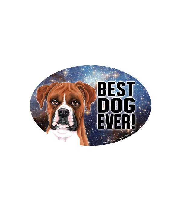 Boxer (Best Dog Ever!) 6" Oval Magnet