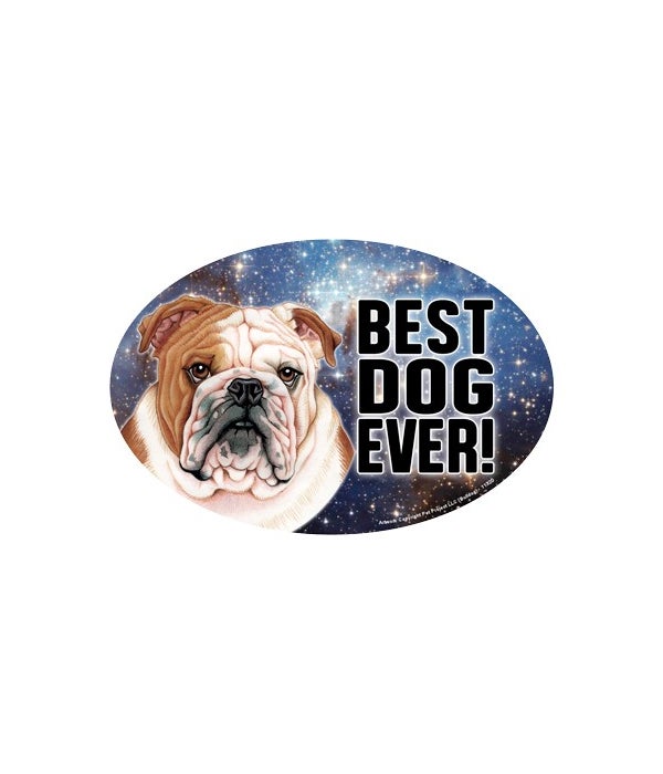 Bulldog (Best Dog Ever!) 6" Oval Magnet