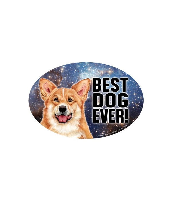 Corgi (Best Dog Ever!) 6" Oval Magnet