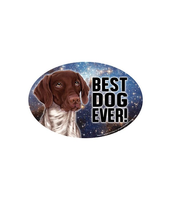 German Shorthaired Pointer (Best Dog Eve