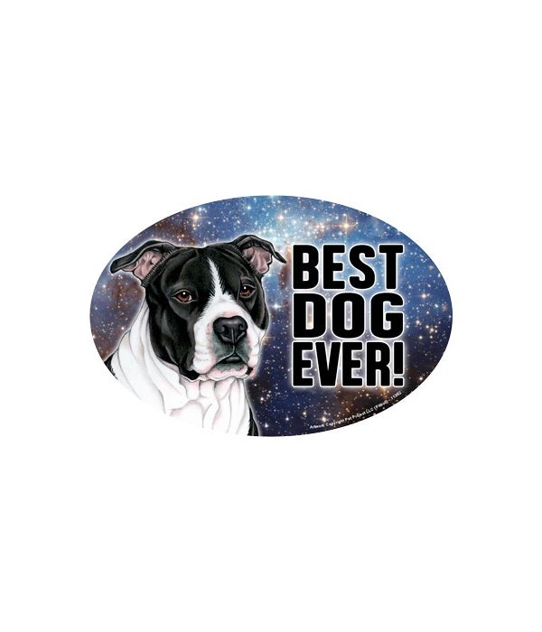 Pitbull (black & white) (Best Dog Ever!)