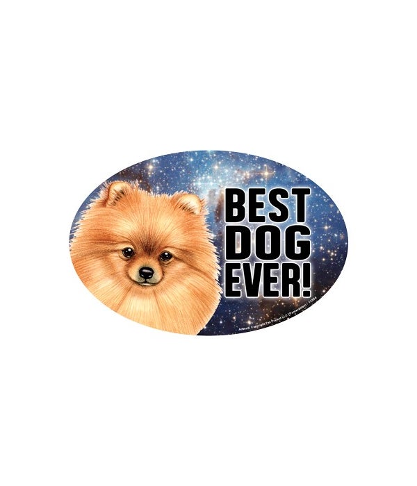 Pomeranian (Best Dog Ever!) 6" Oval Magn