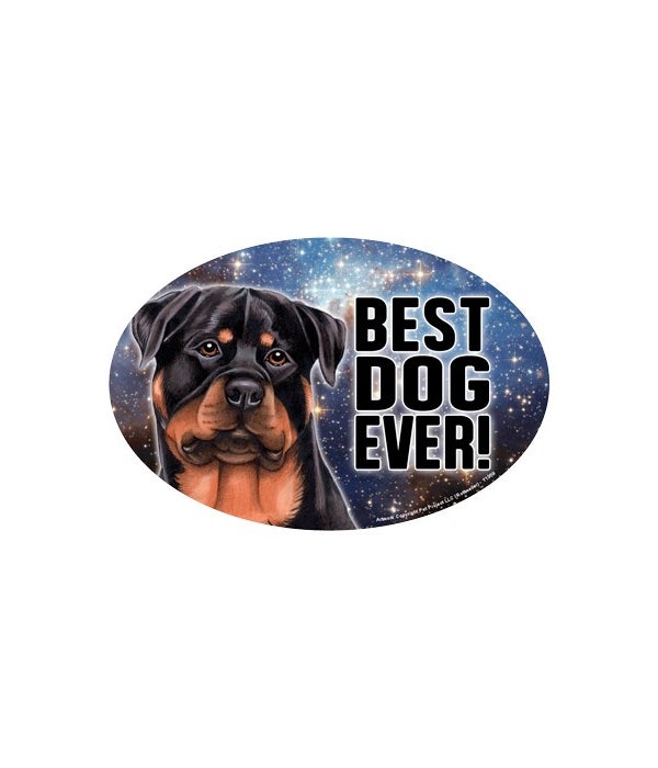 Rottweiler (Best Dog Ever!) 6" Oval Magn