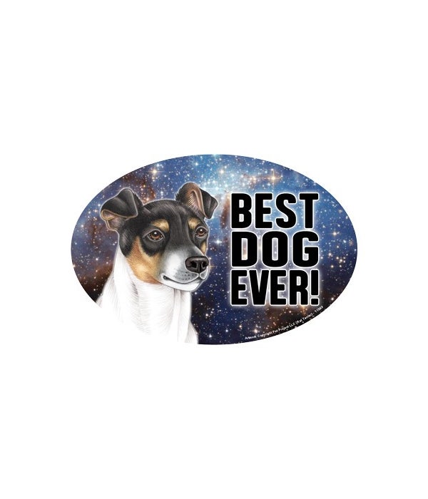 Rat Terrier (Best Dog Ever!) 6" Oval Mag